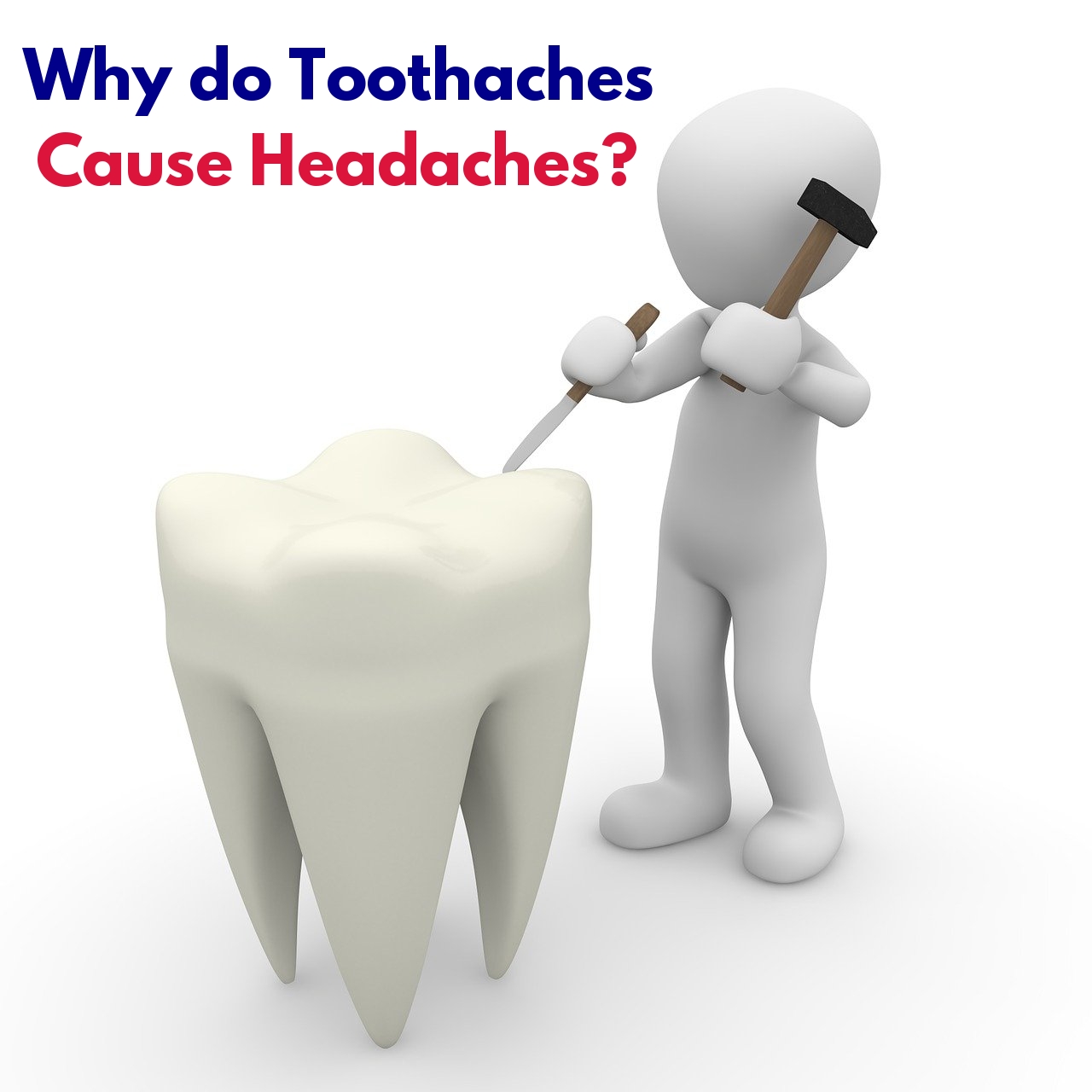 Why Do Toothaches Cause Headaches Affordable Health Coverage Plan 